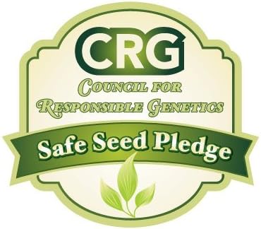 Dirt Goddess Super Seeds ~ Arugula Seeds (1/4 lb) 41,250 Seeds Bulk Non GMO