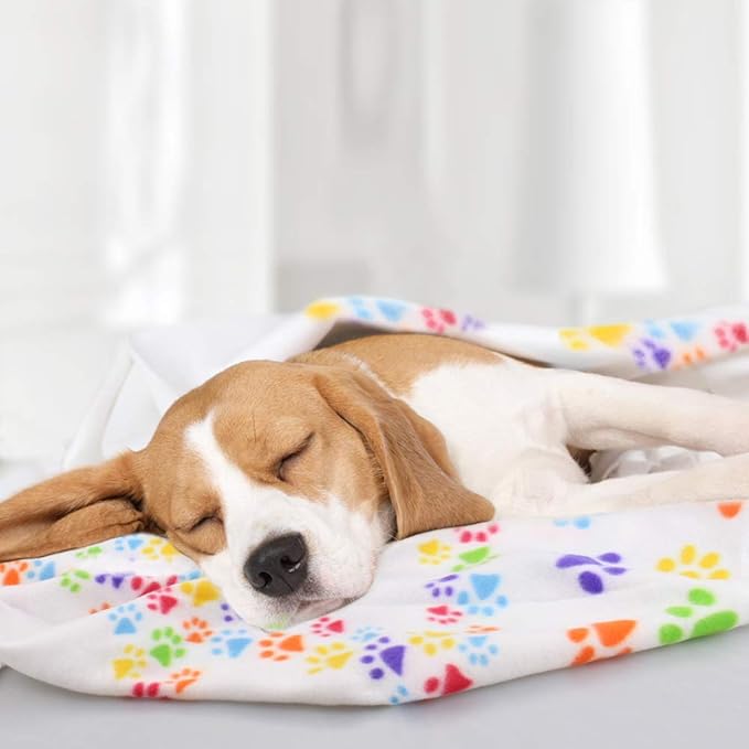 Comsmart Dog Blankets for Small Dogs, 6 Pack Puppy Blanket Cute Paw Print Pet Blanket for Dog, Puppy, Cat, Kitten, 39x31 inches, White