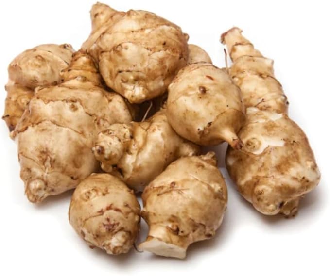 5Pcs Jerualem Artichoke Tubers for Planting Your Garden, Sunroots Sunchokes Tubers for Planting, Fresh Jerusalem Artichoke Roots