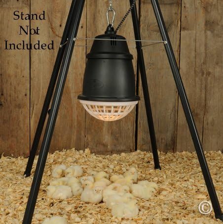 Premier 1 “Prima” Heat Lamp®