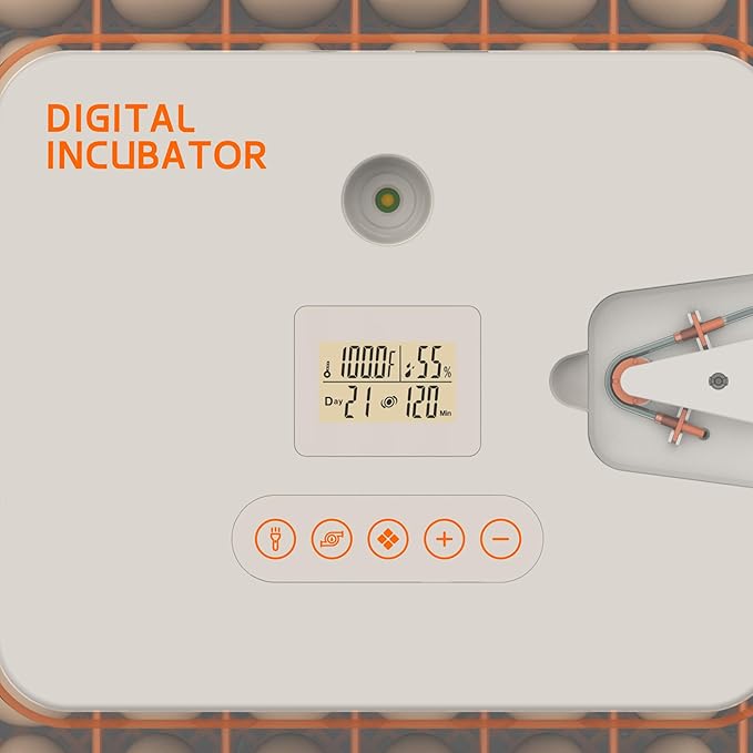 Egg Incubator for Hatching 56 Chicken, Duck, Quail & Goose Eggs – Automatic Egg Turner, Humidity & Temperature Control, Built-in LED Candler, Auto Water Refill, 360° Clear View Digital Poultry Hatcher