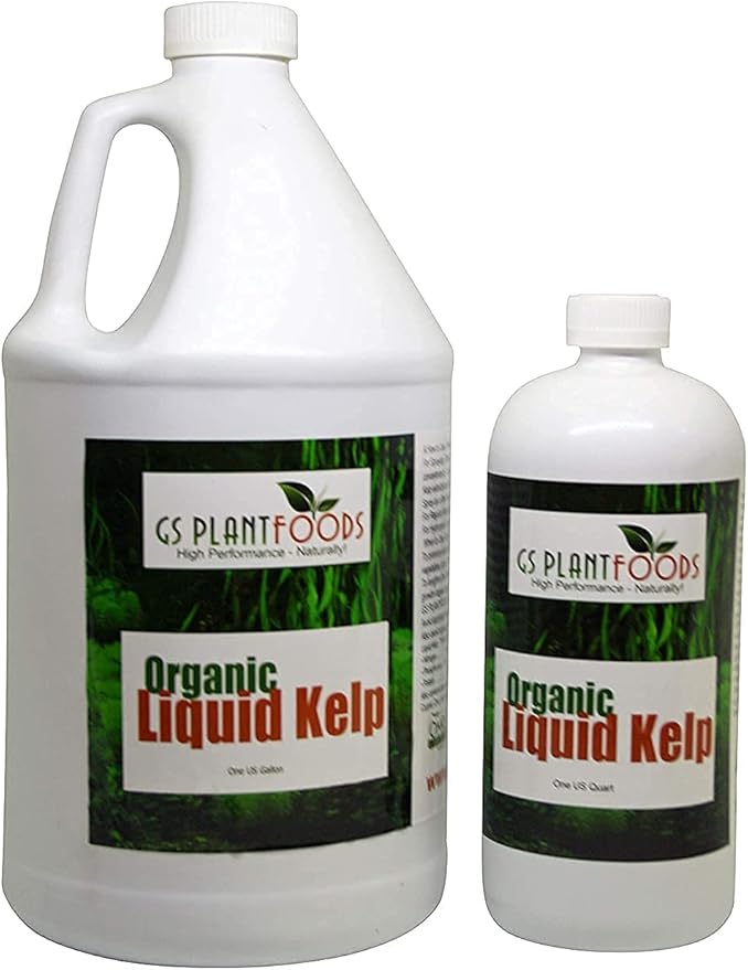 Organic Kelp Fertilizer by GS Plant Foods - Omri Certified (1 Quart) - Kelp Fertilizer for Gardens, Lawns & Soil
