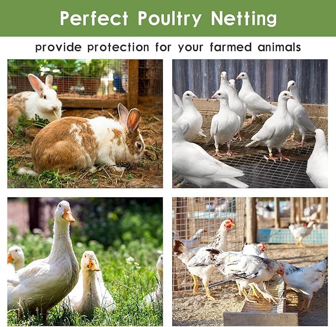 Tongmo Hardware Cloth, Chicken Wire Fencing, 19 Gauge Galvanized Wire & 1"x1" Mesh Size Welded Wire Roll Garden Fence, Poultry Netting for Rabbit/Duck/Chicken Coop (48" x 50')