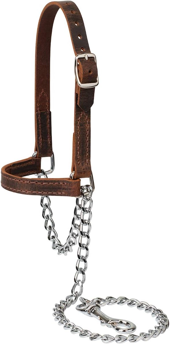 Weaver Leather Livestock Water Buffalo Leather Goat Halter, Large, Assorted Colors (80100-60-64)