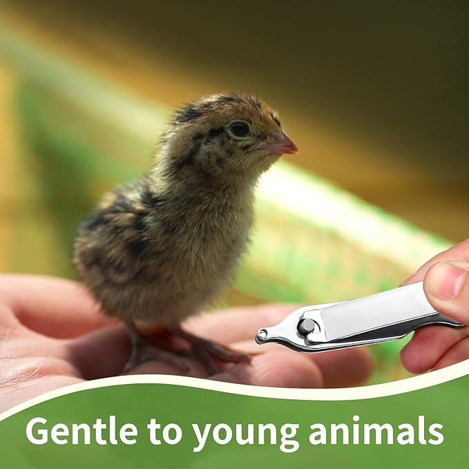 Lasnten 3 Pack Chick Toe Punch Cutter Machine, Silver Metal Toe Clipper for Chicks Precise & Quick Debeaking Tool for Poultry, Chicks, Baby Chickens