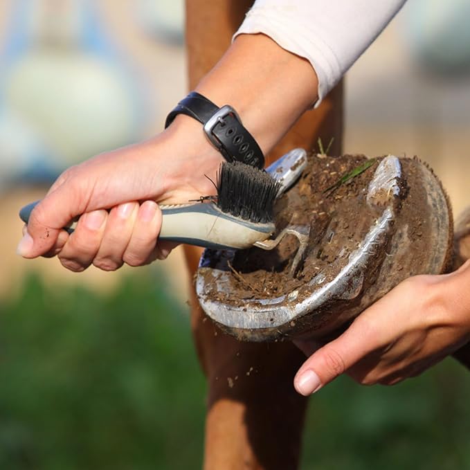 8Pcs Horse Grooming Kit,Horse Brush Set Equine Care Cleaning Kit with Organizer Tote Bag, Tack Room Supplies Set for Grooming and Bathing