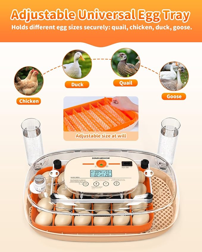 Egg Incubator for 24 Chicken Eggs with Automatic Turner, Digital Temperature Control & Humidity Display, Candler, Poultry Hatcher for Chicken, Duck, Quail, Birds (Orange)