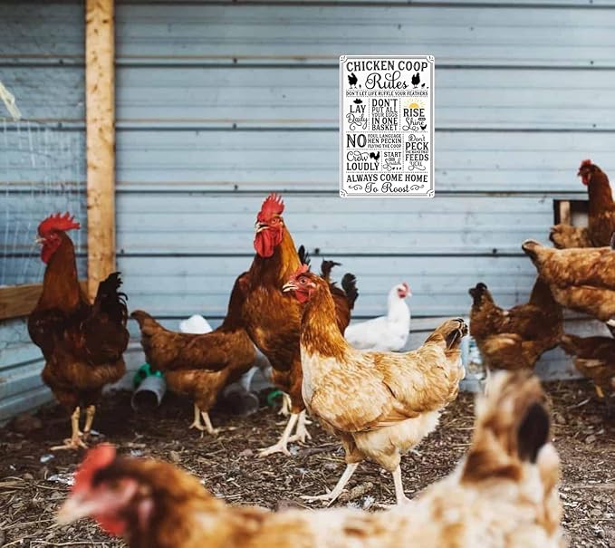 Funny Chicken Gifts Chicken Coop Rules Tin Sign for Home Farm Chicken Coop Farmhouse Kitchen Garden Decor 8 X 12 Inch (3720)