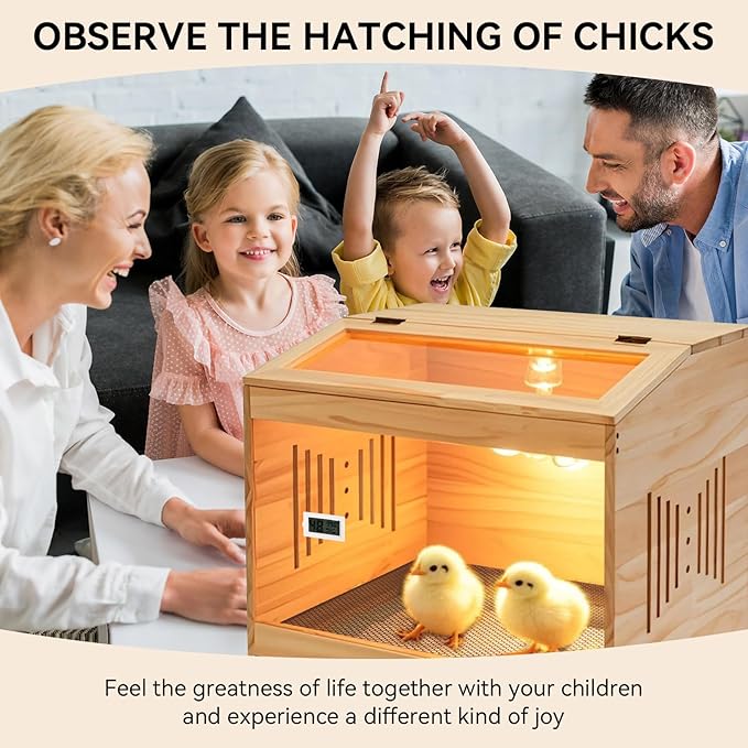 Brooder Box for Chicks with Heat Lamp Kit & Thermometer - Wooden Chicken Brooder for 12 Chicks Indoor/Outdoor - Baby Chicken Cage for Ducks, Quails, Hamsters, Lizards