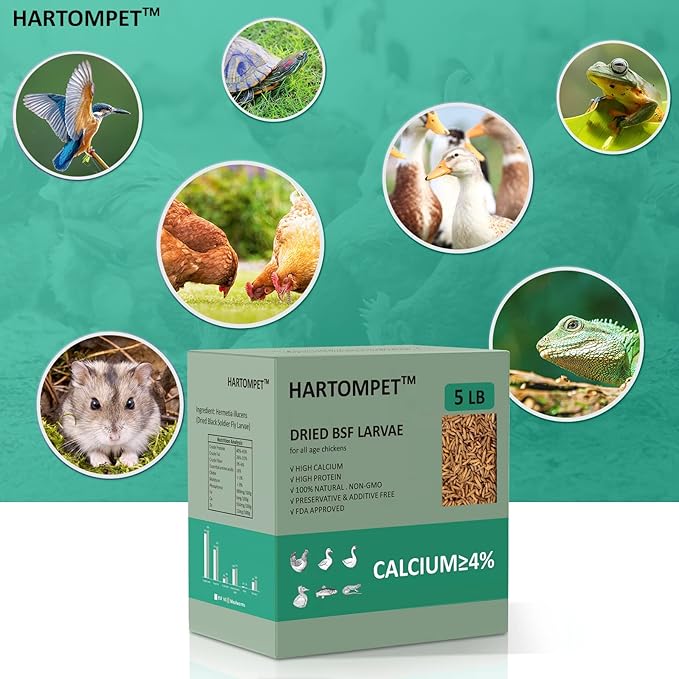HARTOMPET Better Than Dried Mealworms for Chickens 5 lbs - 85X Calcium Than MealWorms - Non-GMO Chicken Feed Additive - Black Soldier Fly Larvae Treats for Hens, Ducks, Wild Birds