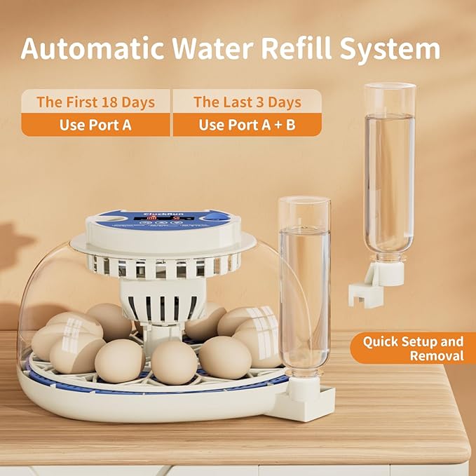 Egg Incubator, Temperature and Humidity Display, Automatic Egg Turning, Egg Candler, Incubators for Hatching Eggs, Auto External Water Bottle Refill, 12 Egg Incubator for Chicken Quail Duck Bird