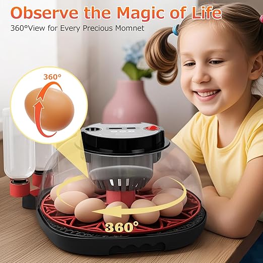 12 Egg Incubators for Hatching Eggs Automatic Egg Incubator with Temperature Control Humidity Control and Display for Chicken Duck Quail Eggs Auto Turner, Black red