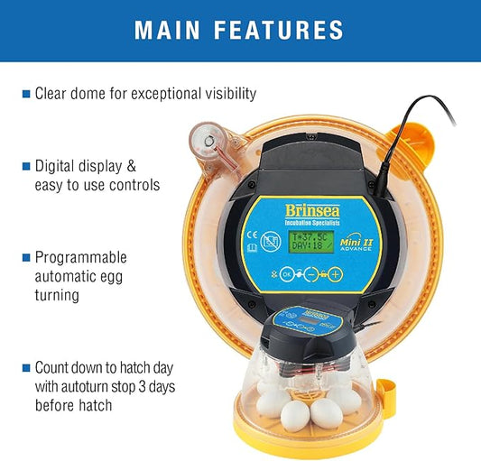 Brinsea Mini II Advance Egg Incubator with Automatic Egg Turning and Temperature Control for Hatching 7 Chicken, Duck, or Other Eggs, Ideal Incubator for Hobbyists, Teachers, and Learners
