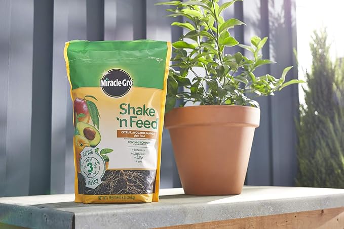 Miracle-Gro Shake 'n Feed Citrus, Avocado and Mango Plant Food 8 lbs.
