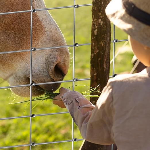 12 Gauge Heavy Duty Cattle Panels for Garden Trellis, 4ftx100ft, Thickened Cattle Panels for Galvanized Farm Fence Chicken Wire Fencing, Durable Goat Fence, Ideal for Farm and Field Protection