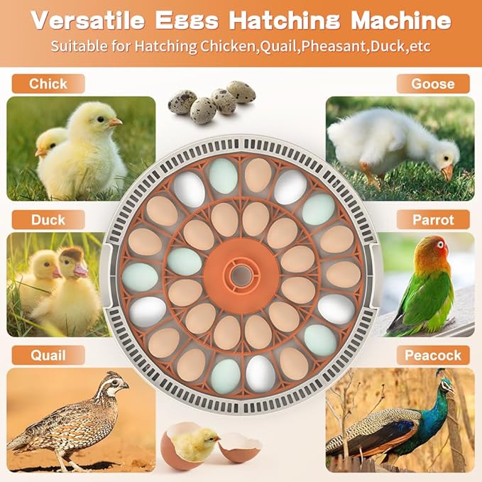 30 Egg Digital Incubator with Automatic Turner - Precision Temperature & Humidity Control, Built-in Candler for Hatching Chicken, Quail, Ducks, Goose, Pigeon, Parrot(30 Egg-Orange)