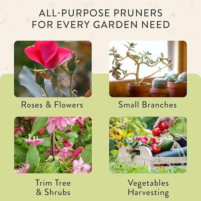 Modern Sprout Hand Pruners - Lightweight Pruning Shears W/Easy Lock- Gardening Scissors - Bypass Sharp Carbon Steel Blade - Rust Resistant - Garden Tools - Reusable Holster - Chartreuse