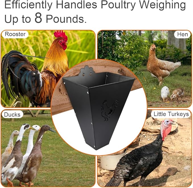 Medium Size Chicken Cone, Heavy-Duty Chicken Kill Cone Metal Poultry Processing Equipment, Wall Mounted for Secure Butchering of Chickens, Ducks & Turkeys (Up to 8Lb)