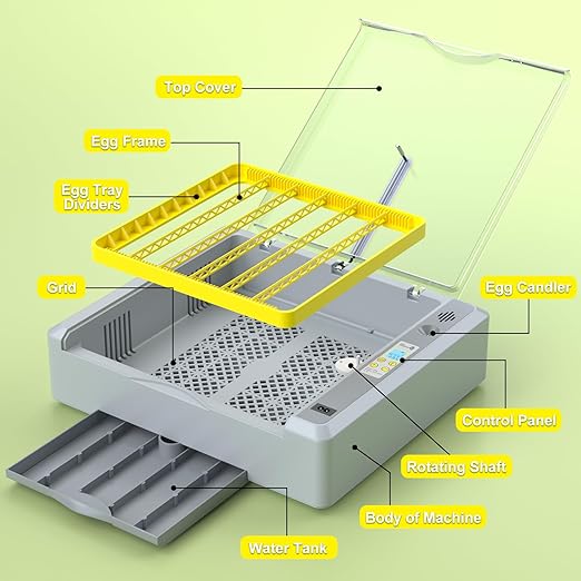 36 Eggs Incubator for Hatching Chicken/Goose/Quail/Duck/Turkey Eggs, 360° View Incubator with Automatic Egg Turning/Humidity Control/Low Humidity Alarm/Adjustable Tray, for Beginner/Farm/Teaching/Home
