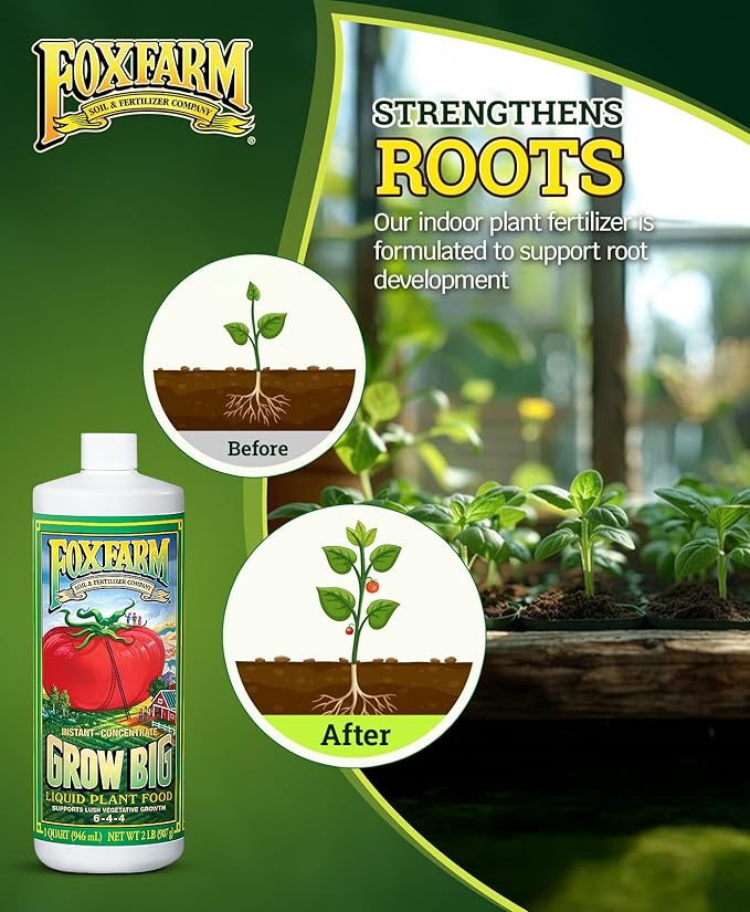 FoxFarm Grow Big Liquid Plant Food - Bloom Fertilizer for Flowers, Fruits, and Vegetables, Perfect for Indoor & Outdoor Potted Plants, NPK 6-4-4 (Quart)