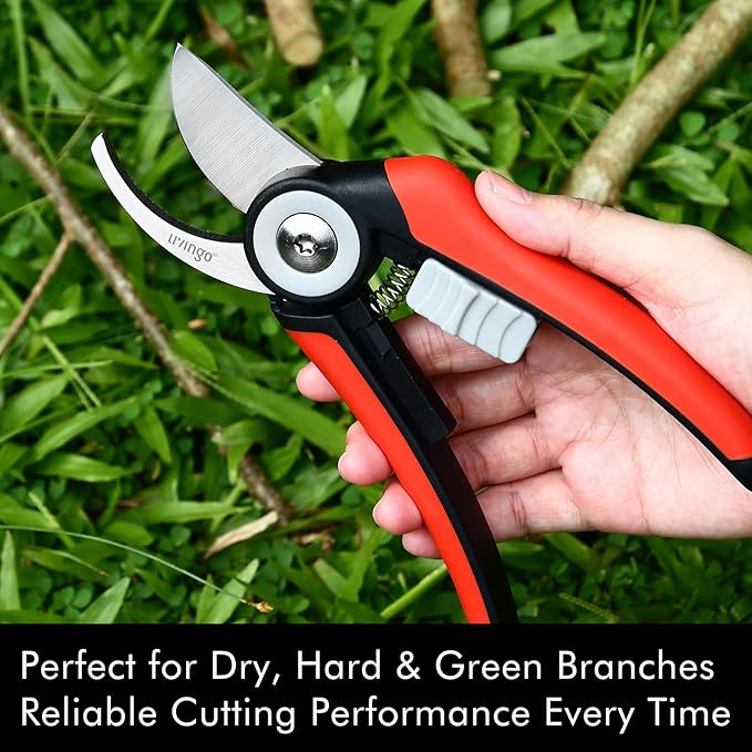 LIVINGO Bypass Pruning Shears - 8.2" Heavy Duty Garden Clippers with Curved Blades, Sharp Plant Scissors for Branches, Bushes & Shrubs, Ergonomic Handles, Spring Action