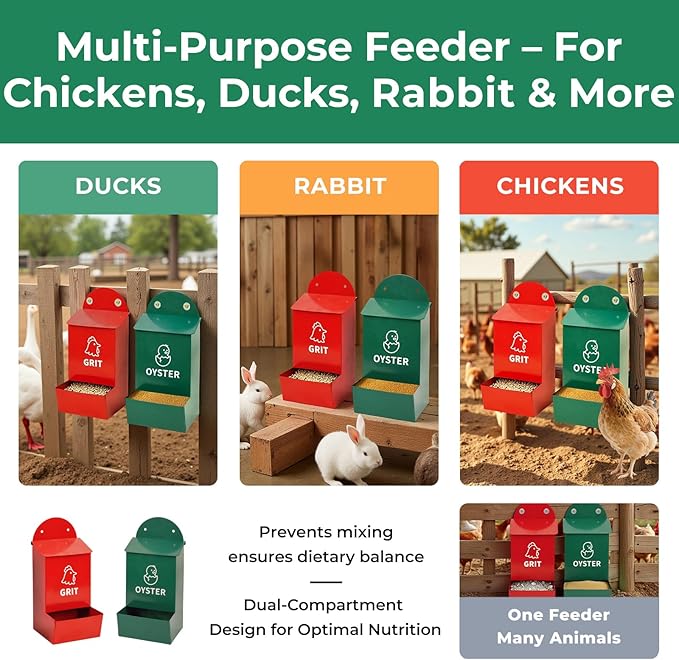 No Waste Chicken Grit and Oyster Shell Feeder 2 Pack, Wall Mounted Metal Poultry Feeders for Coop or Fence, Rustproof Dual Compartments Chicken Feeder for Backyard Flocks