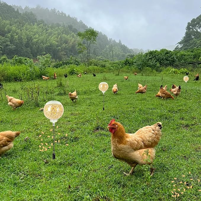 2PCS Chicken Peck Toys Poultry Enrichment Swing & Slow Feeder Chicken Treat Dispenser for Hens Ducks Birds and Parrots Transparent Coop Toys for Fun & Feeding