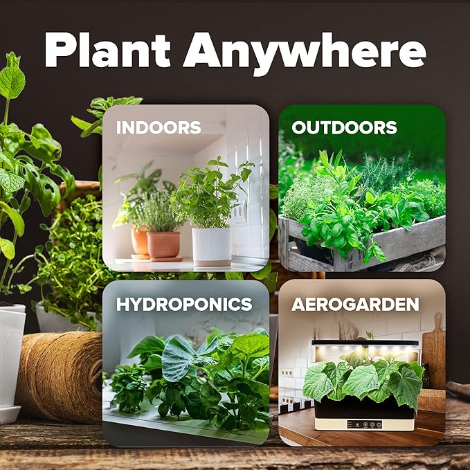 HOME GROWN Premium USA-Grown Vegetable Seeds - 10 Variety Pack with 2,000+ Non-GMO Heirloom Seeds for Planting - Garden Vegetable Seeds for Indoor & Outdoor Planting - Survival Seed Vault Kit