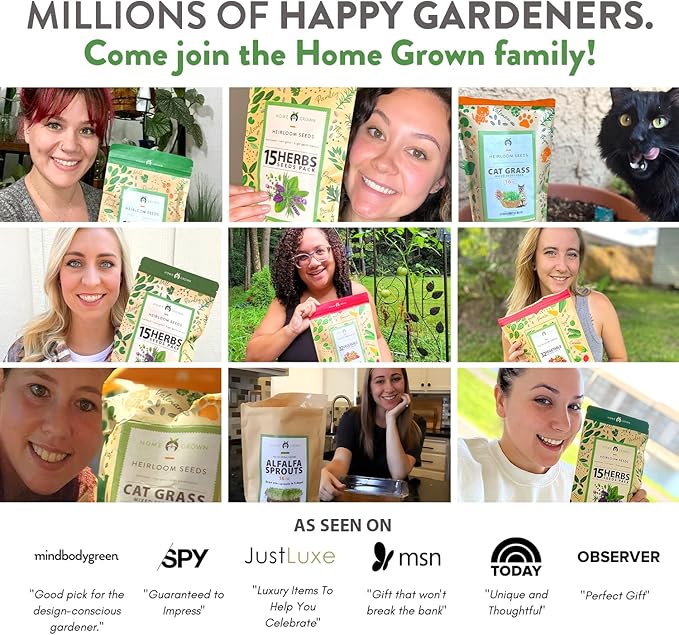 HOME GROWN 12 Winter Vegetable Seeds Heirloom,Fall & Winter Vegetable Seeds for Planting Home Garden: Bean, Beet, Broccoli, Cabbage, Carrot, Cauliflower, Kale,Parsnip,Squash,Chard & More