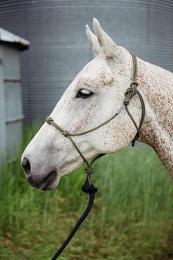 Horse Rope Training Halter - 4 Knot 1/4" Stiff Halter Cord - Used by Famous Trainers Multiple Sizes Multiple Colors