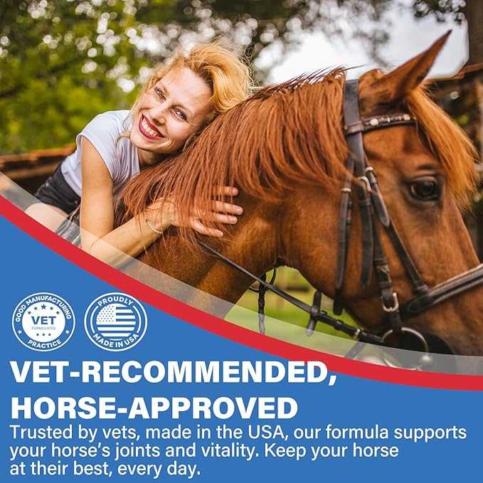 Joint Equine Supplement - Support for Joint Integrity and Inflammatory Response in Horses - Green-Lipped Mussel, MSM, Glucosamine 120 chew