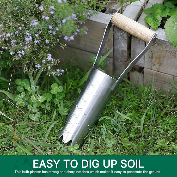 Berry&Bird Garden Bulb Planter with 6 inches Depth Mark, Garden Bulb Transplanter Tool with Wooden Handle, Stainless Steel Soil Release Tool for Transplanting Digging Planting Flowers