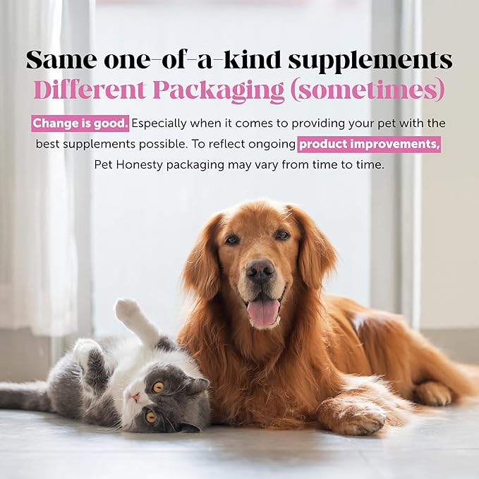Senior Hemp Hip & Joint Support, Hemp for Dogs, Mobility Support for Senior Dogs, Glucosamine, Collagen, MSM, Green Lipped Mussel, Helps Discomfort (Peanut Butter, 90)