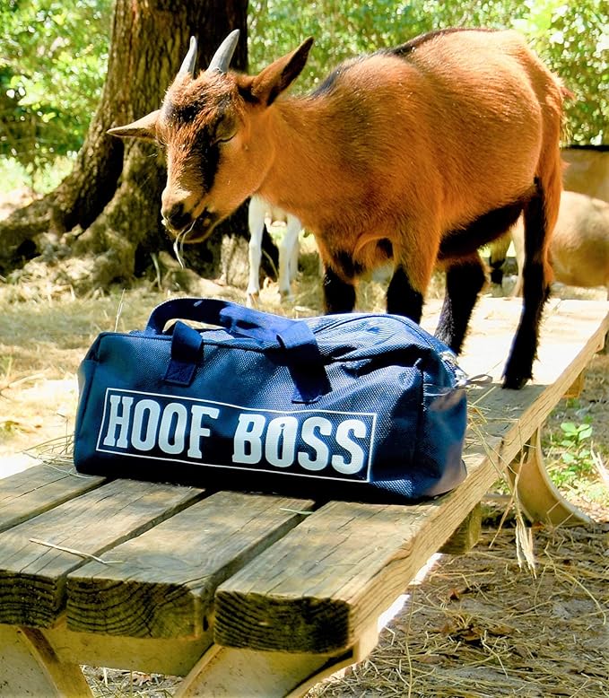 Hoof Boss - Goat Hoof Trimmers Complete Electric Set 110v - Goat Hooves Trimmer Tool Kit - Grinder Discs and Accessories Included