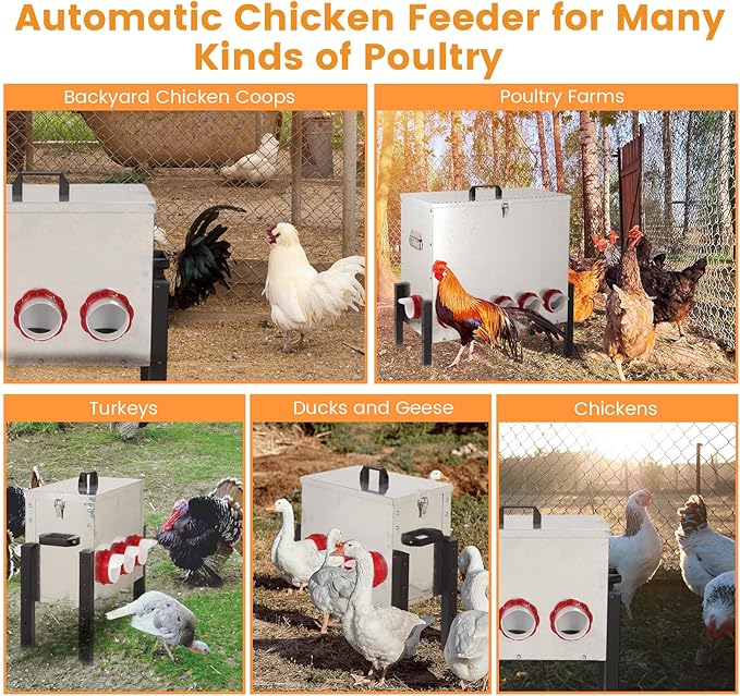 30LB Automatic Chicken Feeder with Cover – Large Capacity Metal Chicken Coop Feeder with 6 Feed Ports, Adjustable Legs Rainproof No Waste Outdoor Poultry Feeder for Hens & Free Range Flocks