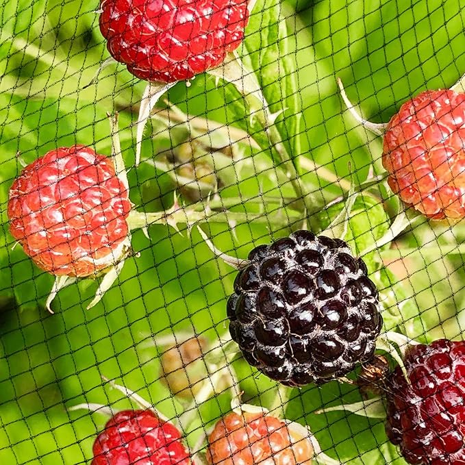 Garden Netting, 15ft x 50ft Black Bird Netting Heavy Duty,Rabbit,Squirrels,Anti Birds,Larger Bees,Deer,Chicken,Cardinals,Animal Fencing for Fruit Tree & Vegetable Garden