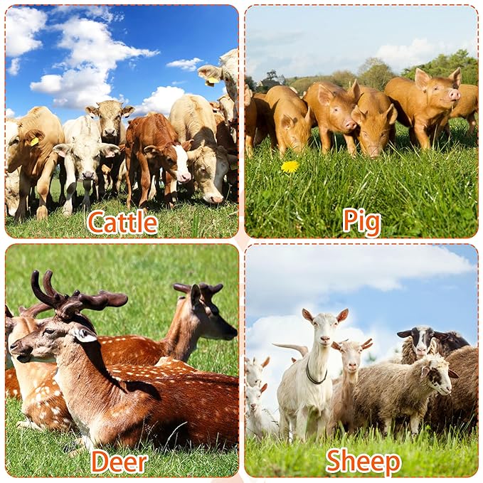 Livestock Scratch Brushes, 2PCS, Horse Scratcher Full Massage Brush Kit, Relieves Back Itching for Livestock, Horses, Cattle, Sheep, Pigs, Green