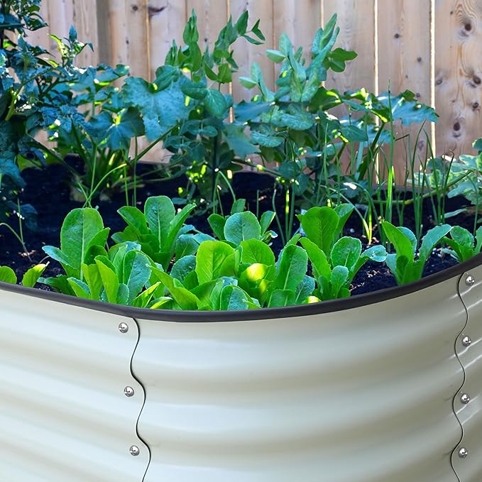 MUPATER 8ftx2ftx1.4ft Raised Garden Bed Outdoor for Vegetables, 9-in-1 Galvanized Metal Planter Box, 17''H Modular Garden Bed Kit Oval for Herbs and Flowers, Pearl White