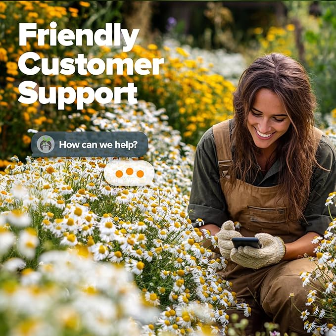 HOME GROWN German Chamomile Seed Pack – 4,560 Heirloom Seeds for Planting for Sustainable Gardens and Soothing Medicinal Herbal Teas (Matricaria chamomilla)