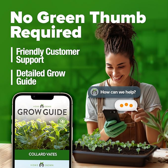 HOME GROWN Collard Green Seeds - 2 Pack - 600 Seeds for Fall Planting - High Germination Heirloom Vegetable Seeds,Vates Collard Greens Seed Pack(Brassica oleracea)
