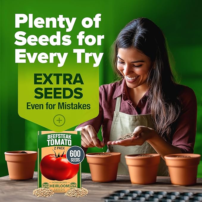 HOME GROWN Beefsteak Tomato Seed 2Pack - 600 Heirloom Tomato Seeds for Planting Outdoors – High-Yield Non-GMO Vegetable Seeds for Growing Large, Meaty Tomatoes for Summer Dishes (Solanum lycopersicum)