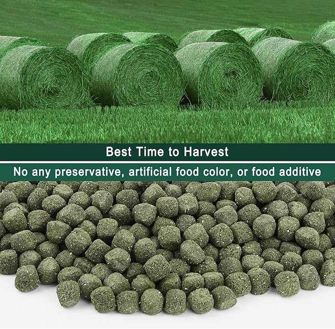 Timothy Hay Cubes 11 oz -100% Natural Timothy Hay Low Calcium, High Fiber for Rabbits Sulcata Tortoise Guinea Pig, Durable Chew Cubes (No Dust), 11 oz