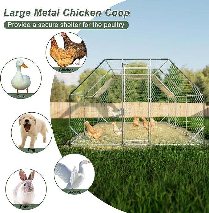 Chicken Coop Large Metal Chicken Coop Walk-in Poultry Cage Designed for Multiple Chickens,Durable Chicken House with Waterproof and Anti-UV Cover,Suit for Your Backyard(19.5'Lx9.8'Wx6.8'H)