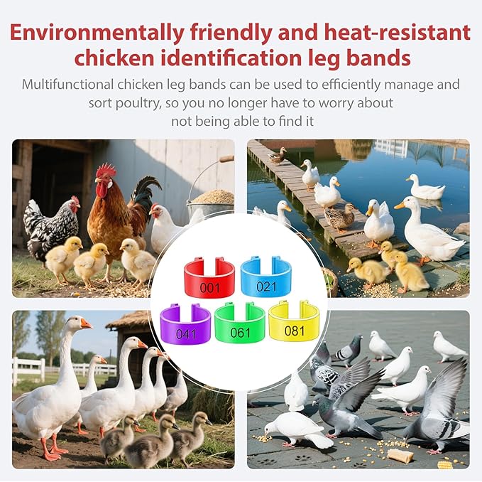 100-Pack 16 mm Chicken Tags for Legs for Chickens Reusable Plastic Chicken Leg Bands Poultry ID Rings for Easy Flock Management, Farm & Backyard Use