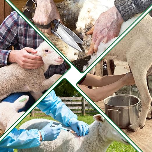 Heavy Duty 600LBs Goat Milking Stand with Feed Bin, 47x23 inch, Adjustable Livestock Table for Sheep & Goat Grooming, Hoof Care, and Shearing, Black