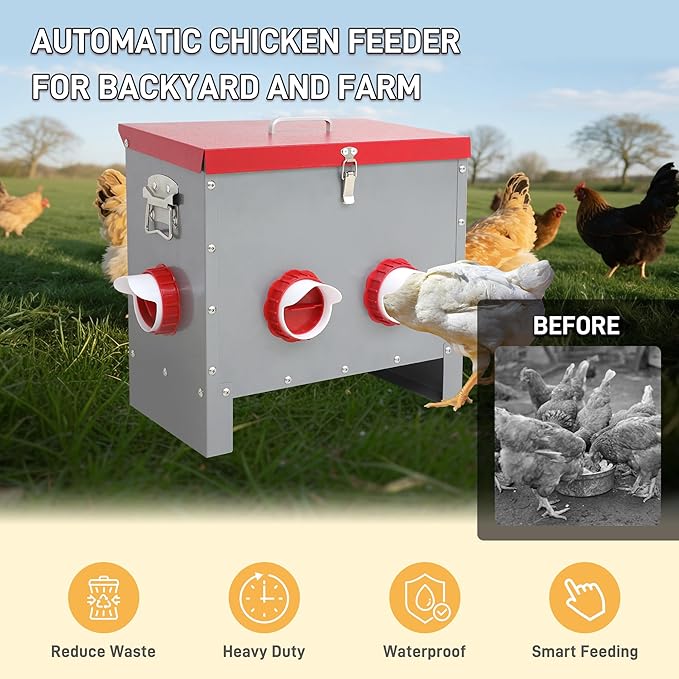 Automatic Chicken Feeder-40LB Metal Poultry Feeder No Waste with 6 Feeding Ports, Rat Proof Auto Chicken Feeders with Rust-Resistant Steel Frame, Locking Lid & Handle for Duck Geese Outdoor Use