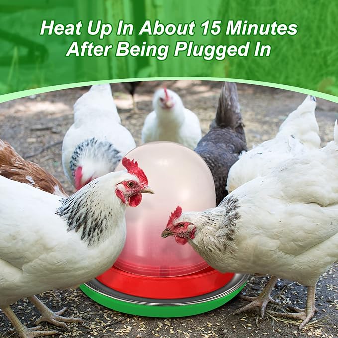 Hortsun 2 PCS Chicken Water Heater for Winter 110V 38W Poultry Drinker Heater Base Surface Temperature can Reach About 140 Fahrenheit Degree Chicken Waterer Electric Deicer Heated Base (Green)
