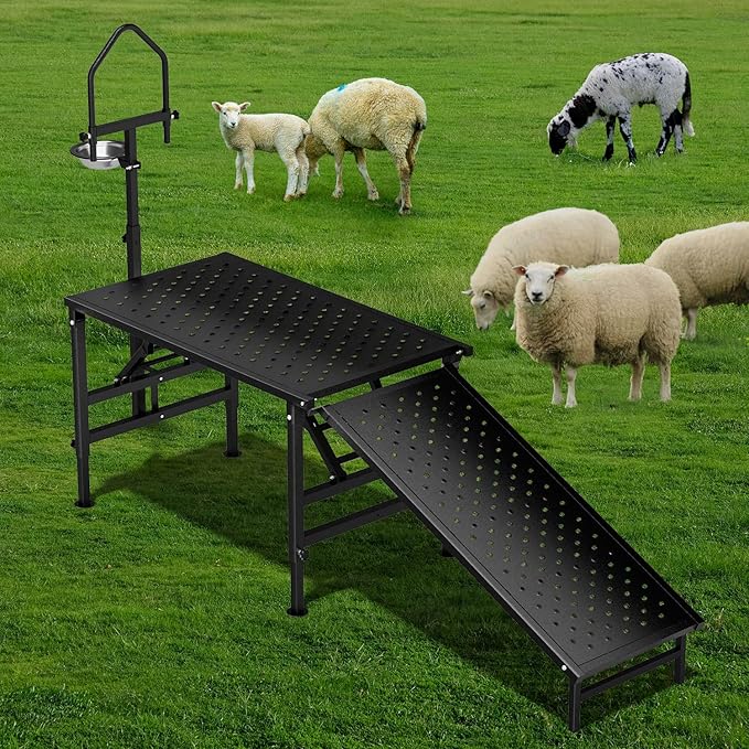 Professional Goat Milking and Trimming Stand with Ramp, Sheep and Goat Grooming Platform, Livestock Care Equipment (Black with Ramp)