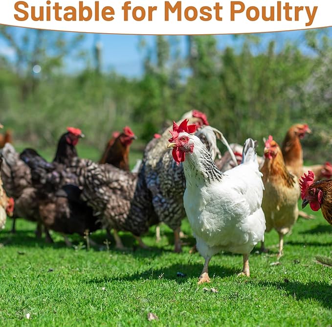 2 PCS Chicken Vegetable Hanging Feeder, Reusable Chicken Treat Holder, Poultry Feeding Tool with Hooks, for Chicken Duck (Yellow and Green)