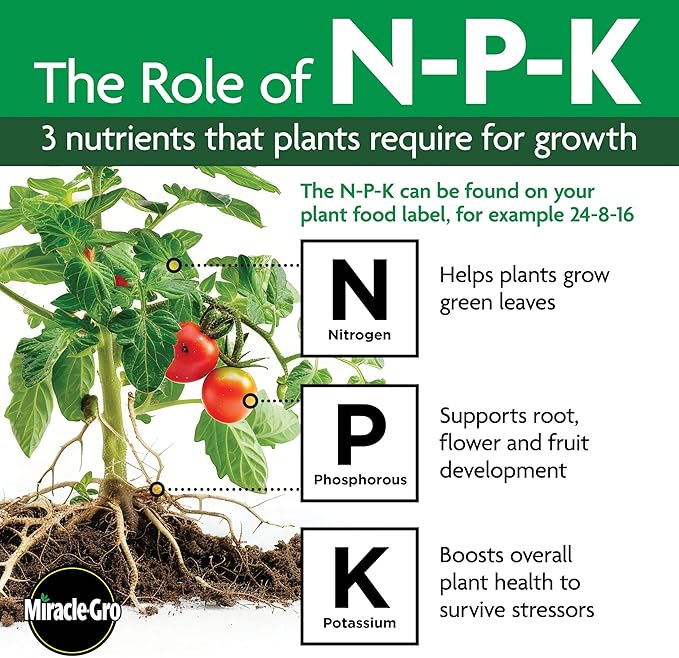 Miracle-Gro Shake 'N Feed Continuous Release Citrus, Avocado & Mango Plant Food, 4.5 lb.